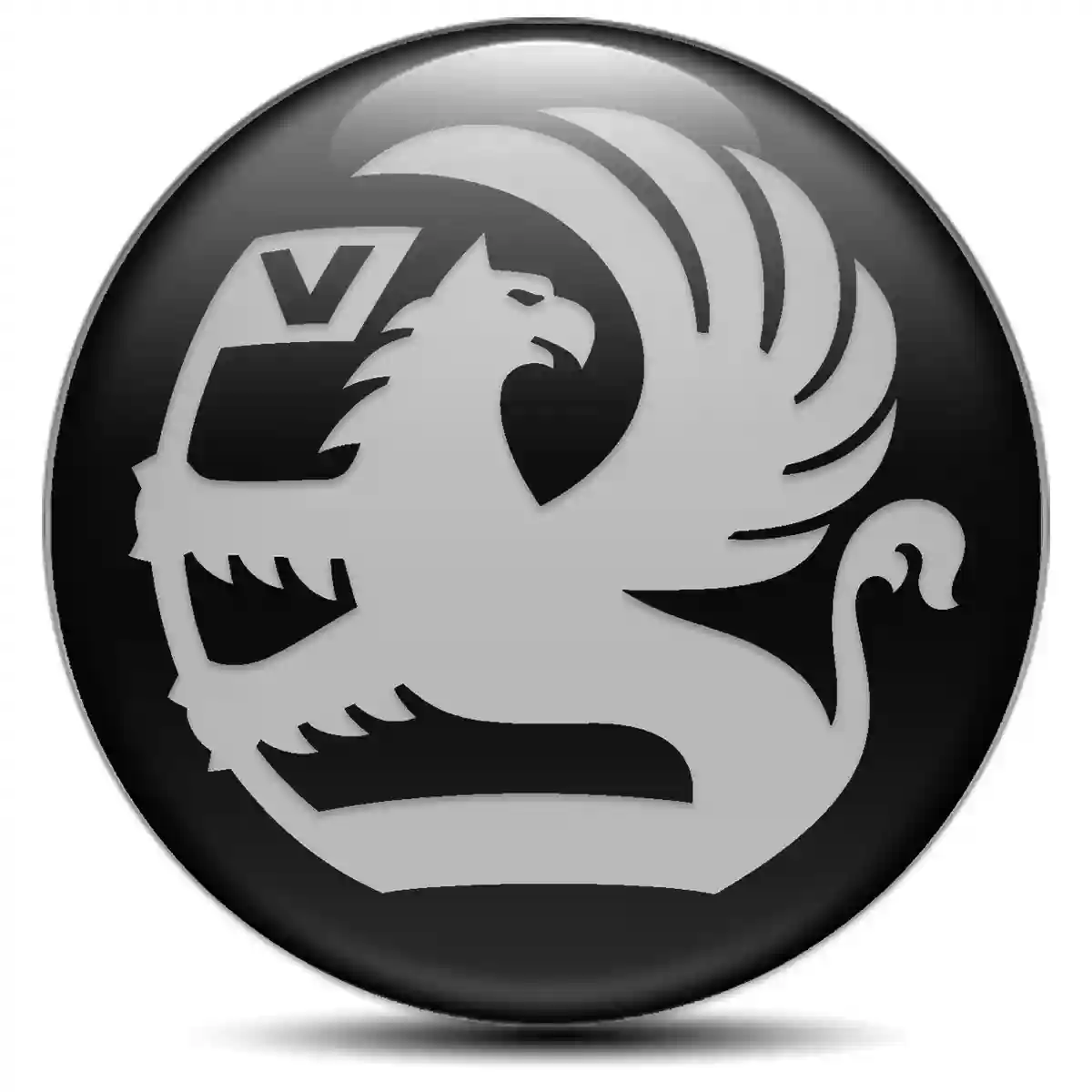 Vauxhall Wheel Emblems Sleek Style